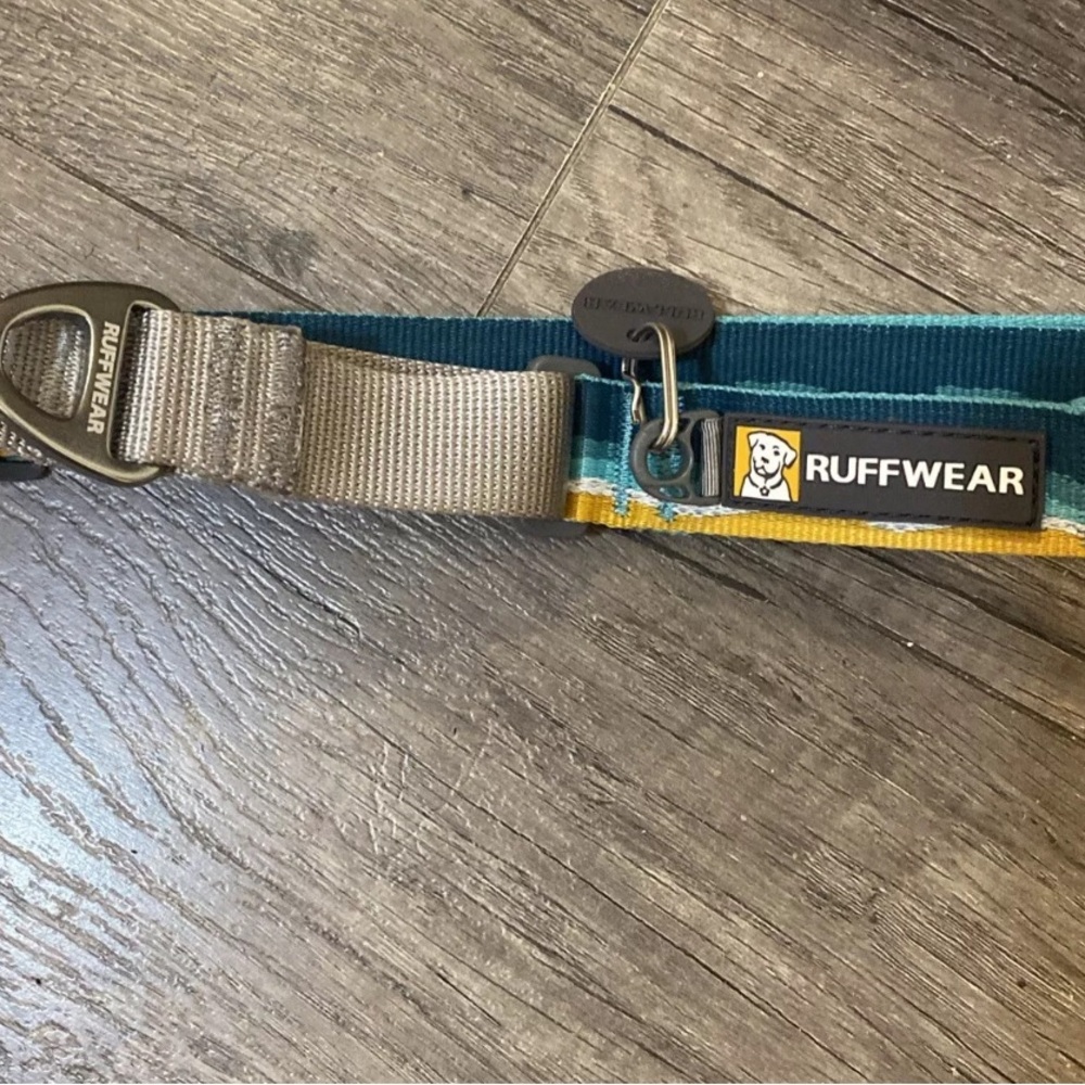 Roughwear, dog collar, small medium dogs, blue yellow stripe